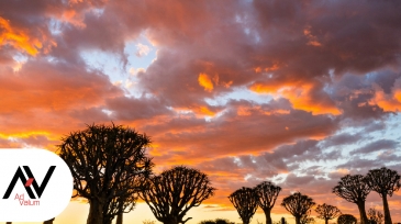 Mission Sénégal Advalum