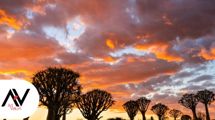 Mission Sénégal Advalum