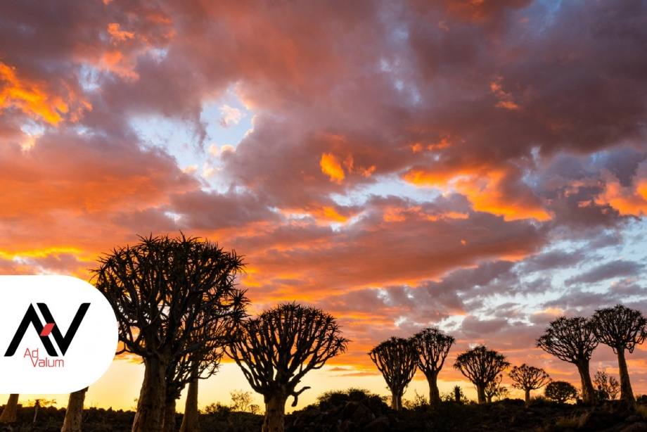Mission Sénégal Advalum